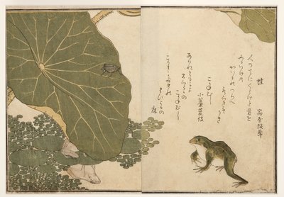 Frogs and golden insect beetle by Kitagawa Utamaro